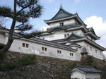 DSC02036.JPG