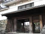 DSC02041.JPG