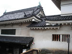 DSC02043.JPG