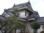 DSC02044.JPG