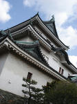 DSC02045.JPG