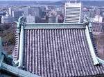 DSC02052.JPG