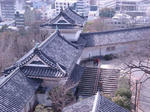DSC02054.JPG