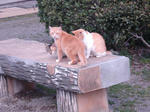 DSC02058.JPG