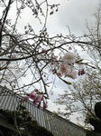 100320_162740_ed.jpg