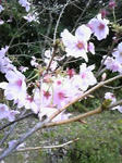 100320_162935_ed.jpg