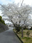 100331_122711_ed.jpg