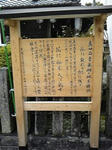100503_145655_ed.jpg