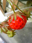9272c99c.jpg