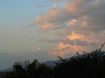 ee4501e8.jpg