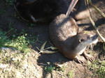 40628f03.jpg