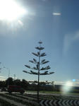 f0736db7.jpg