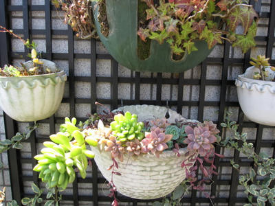 blog534.JPG