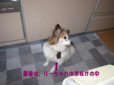 blog579.JPG