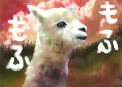 アルパカ