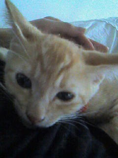 mille1
