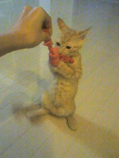 mille3