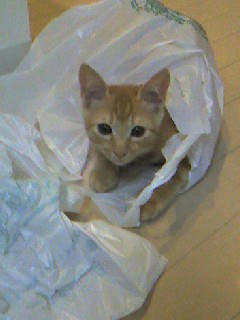 mille9