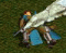 41534c0b.gif