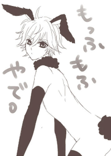 mofumofu.jpg