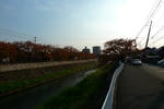 th_P1030525.jpg
