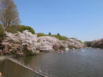 th_R0011113.jpg