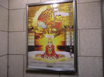 CIMG0205.JPG