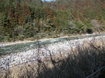 CIMG0284.JPG