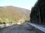 CIMG0285.JPG