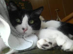 2008091712270000.jpg