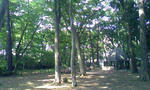 1a462123.jpeg