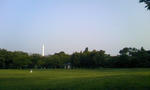d3407195.jpeg
