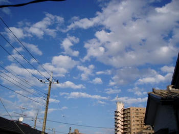 クリックで大きくなるよ