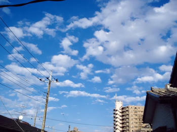 クリックで大きくなるよ