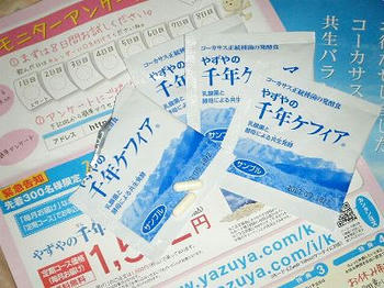 やずやの千年ケフィアお試し