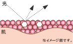 エクセル　クリアルーセントパウダーN
