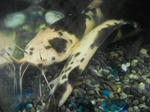 CIMG0267.JPG