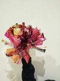s-DSCF1234.jpg
