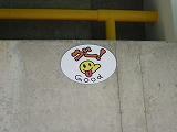 s-P6250012.jpg
