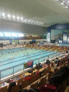 s-DSC_0019.jpg
