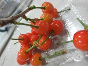 s-IMG_3296.jpg