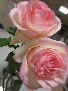 s-IMG_3400.jpg