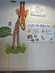 s-IMG_3632.jpg