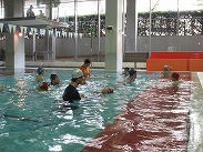s-IMG_3981.jpg