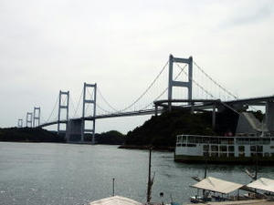 IMGP02981.jpg