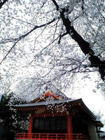 CA390043.JPG