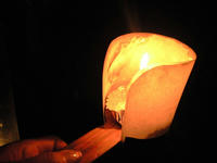 CA390141.JPG