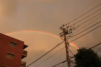 DPP_1161.JPG