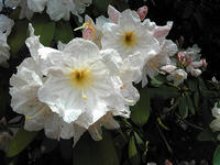 SBSH01282.JPG