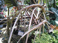 SBSH0202.JPG